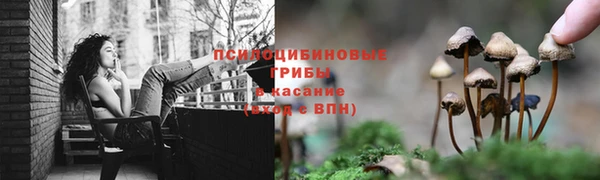 mdpv Балахна