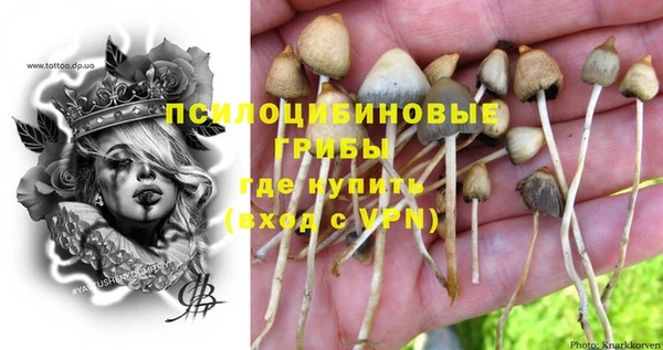 mdpv Балахна